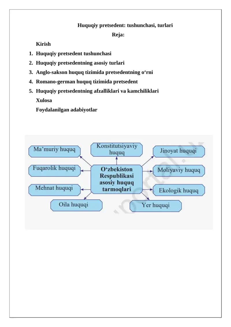 Huquqiy pretsedent: tushunchasi, turlari 1