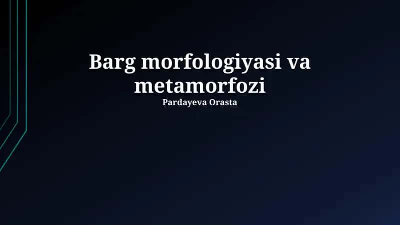 Barg morfologiyasi va metamorfozi 1