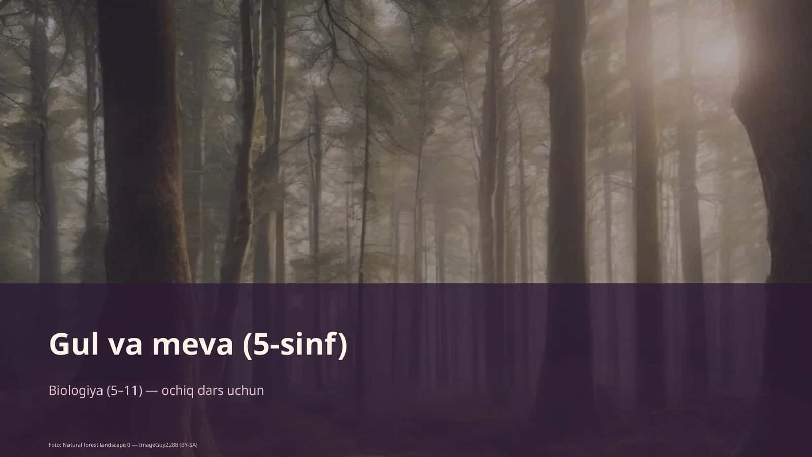 Gul va meva (5-sinf) 1