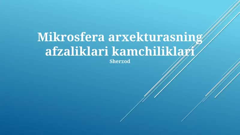 Mikroferma Arxitekturasining Kamchiliklari 1
