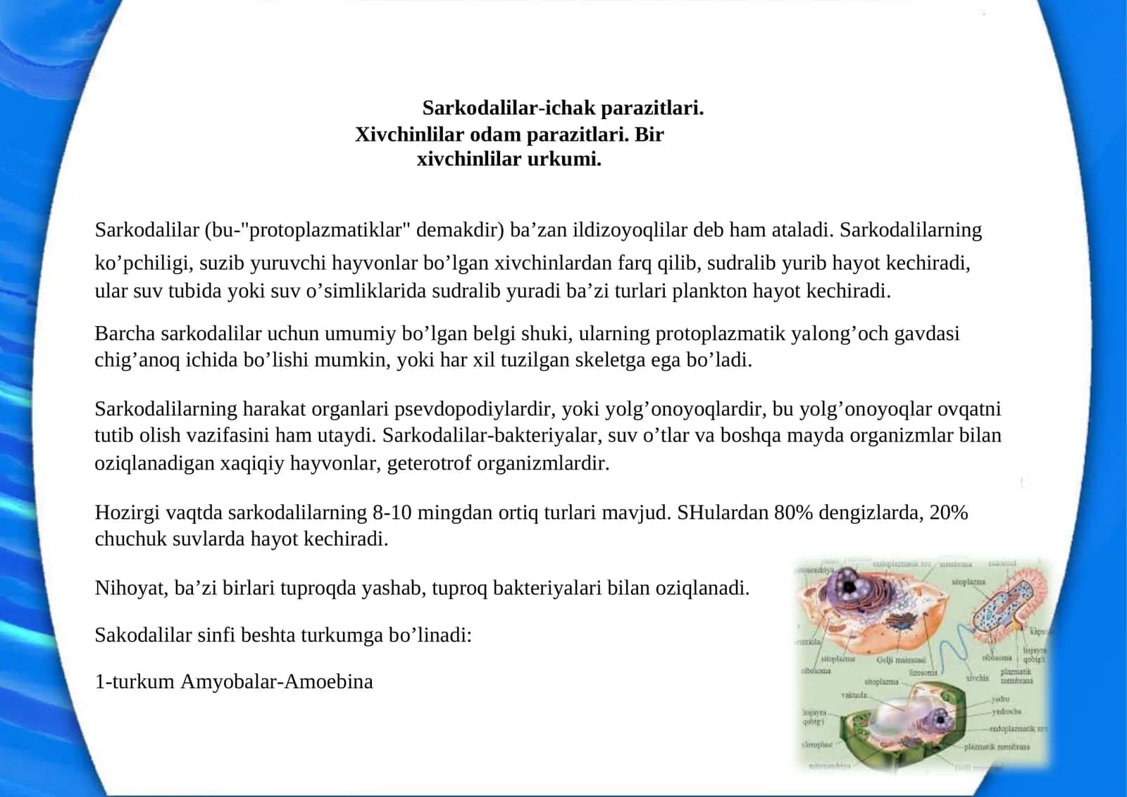 Sarkodalilar-ichakparazitlari 1