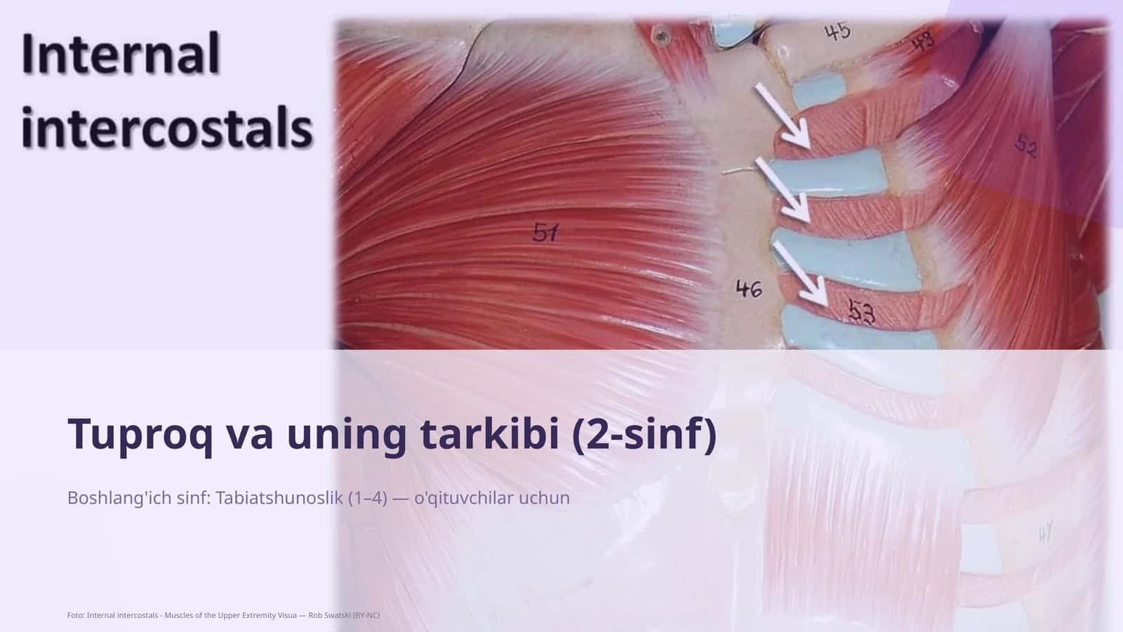 Tuproq va uning tarkibi (2-sinf) 1