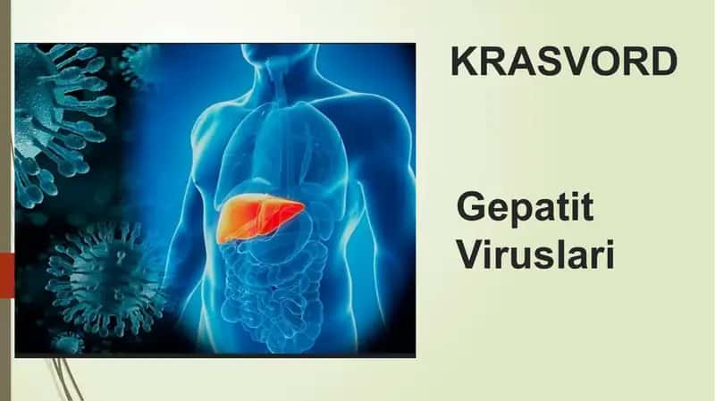 Gepatit Viruslari 1