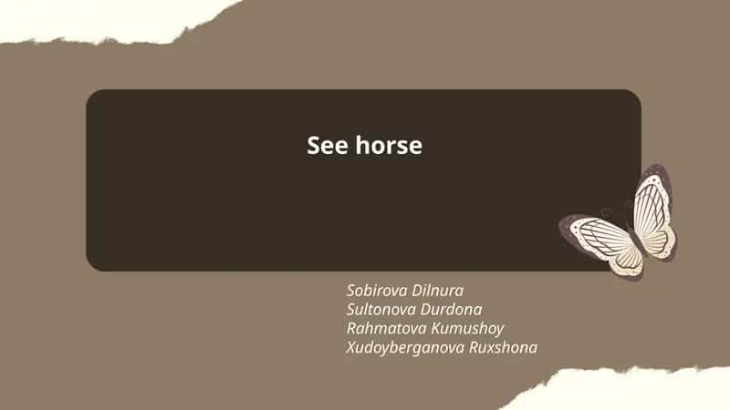 Seahorse Anatomy and Physiology 1