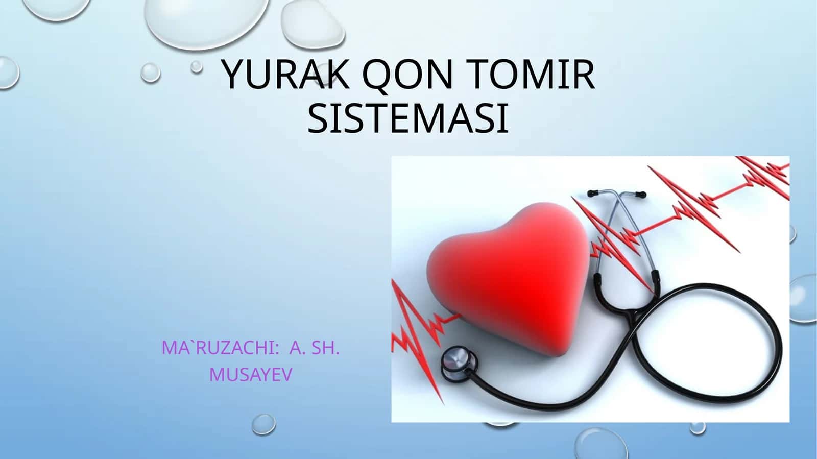 Yurakqontomirsistemasi 1
