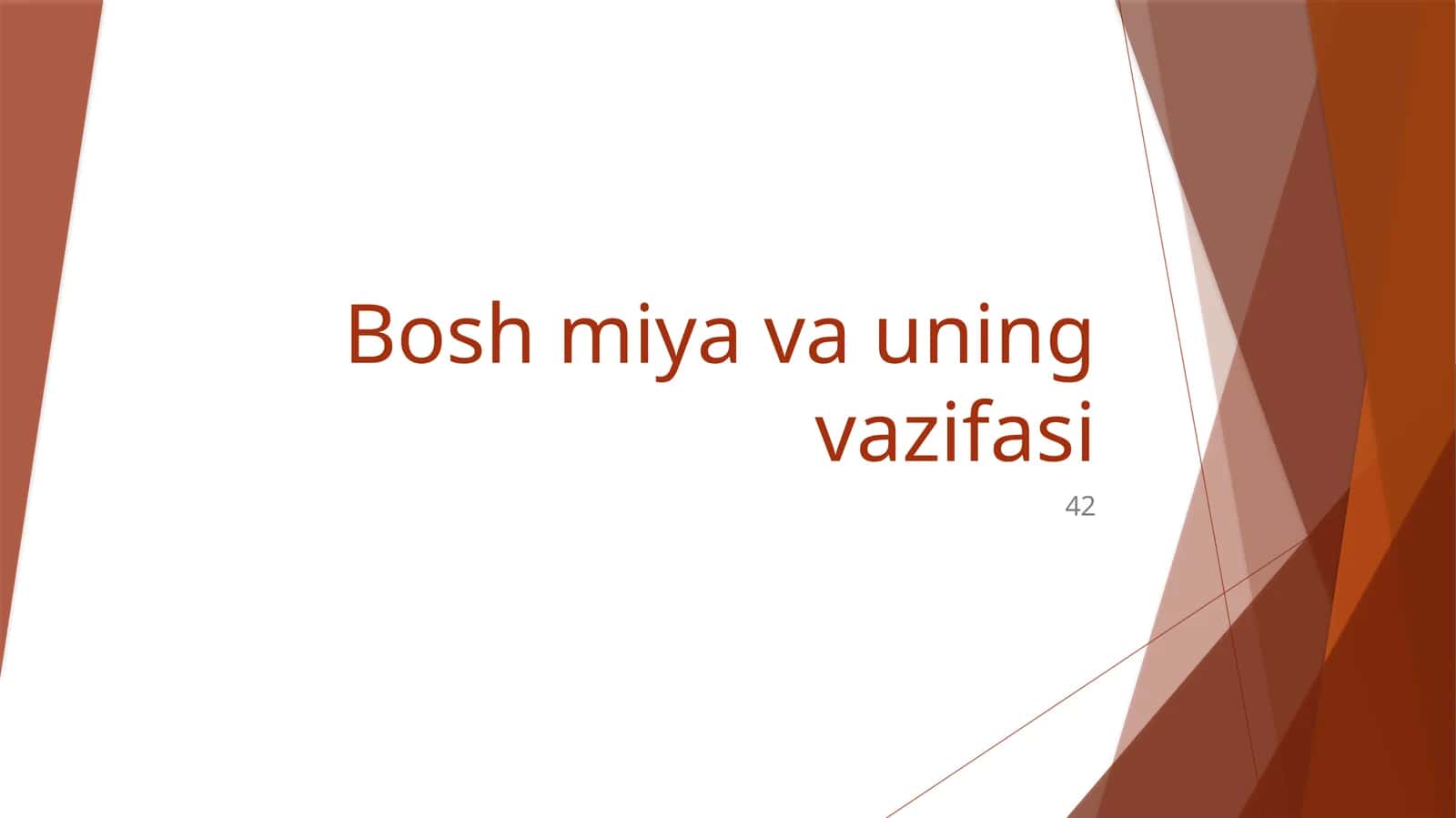Bosh miya va uning vazifasi 1