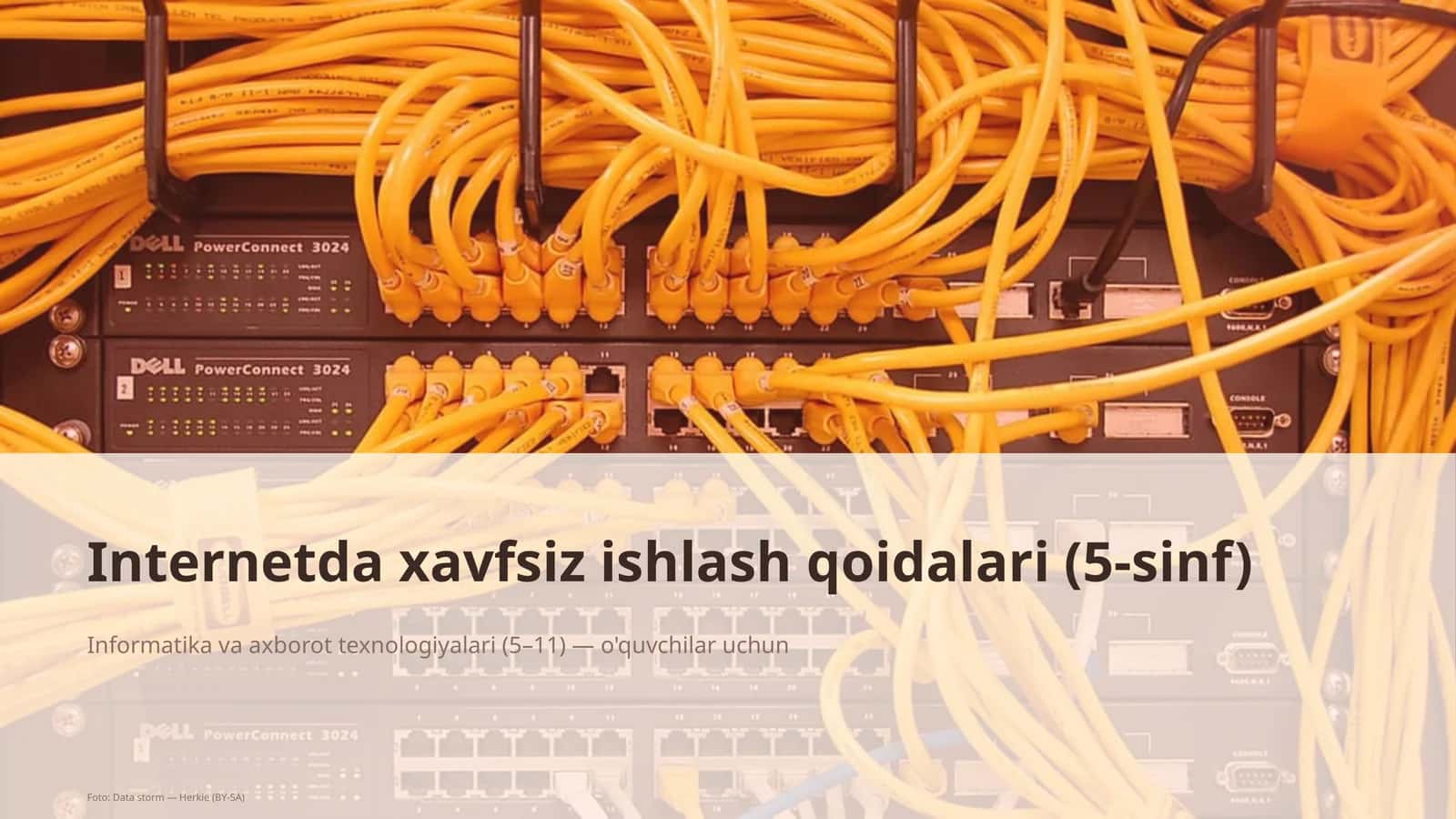 Internetda xavfsiz ishlash qoidalari (5-sinf) 1