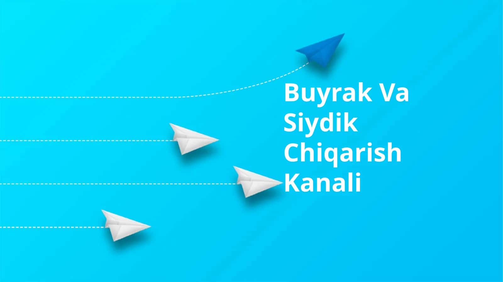 Buyrak Va Siydik Chiqarish Kanali 1