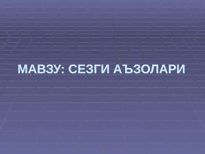СЕЗГИ АЪЗОЛАРИ 1