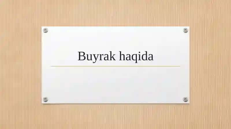 Buyrak haqida