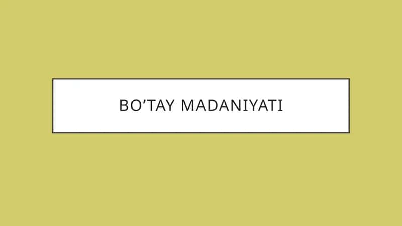Bo'tay madaniyati 1