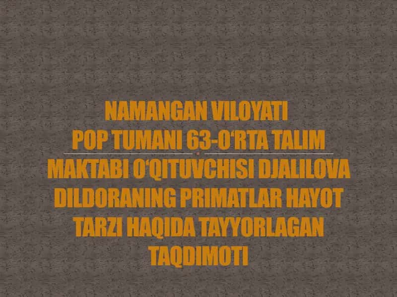 Primatlar hayot tarzi taqdimoti 1
