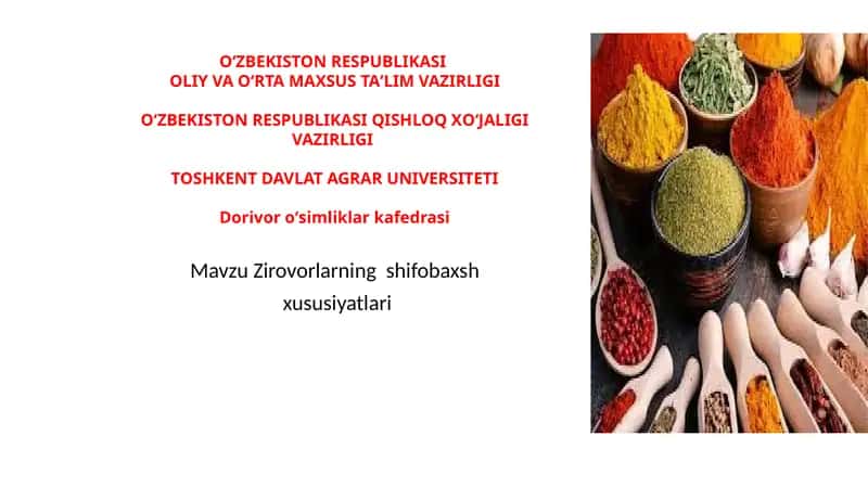 Zirovorlarning shifobaxshlik xususiyatlari 1