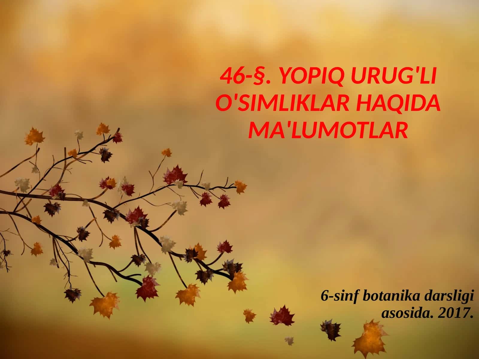 6-sinf Botanika Yopiq urug'li o'simliklar haqida ma'lumotlar 1