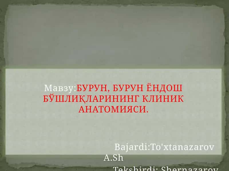 БУРУН, БУРУН ЁНДОШ БЎШЛИҚЛАРИНИНГКЛИНИК АНАТОМИЯСИ 1