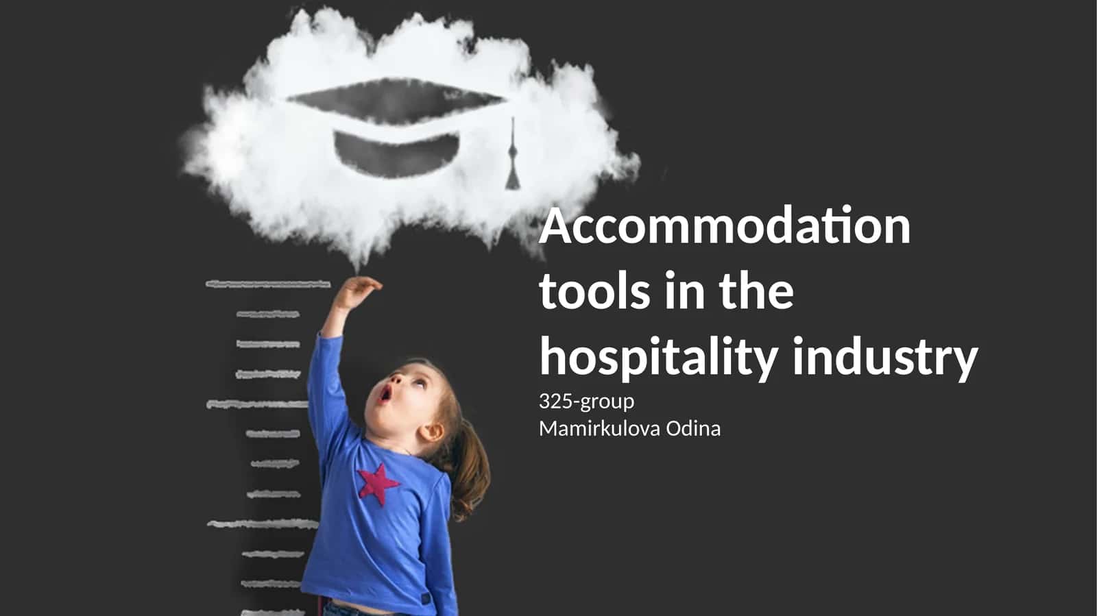 Accommodation tools in the hospitality industry 1