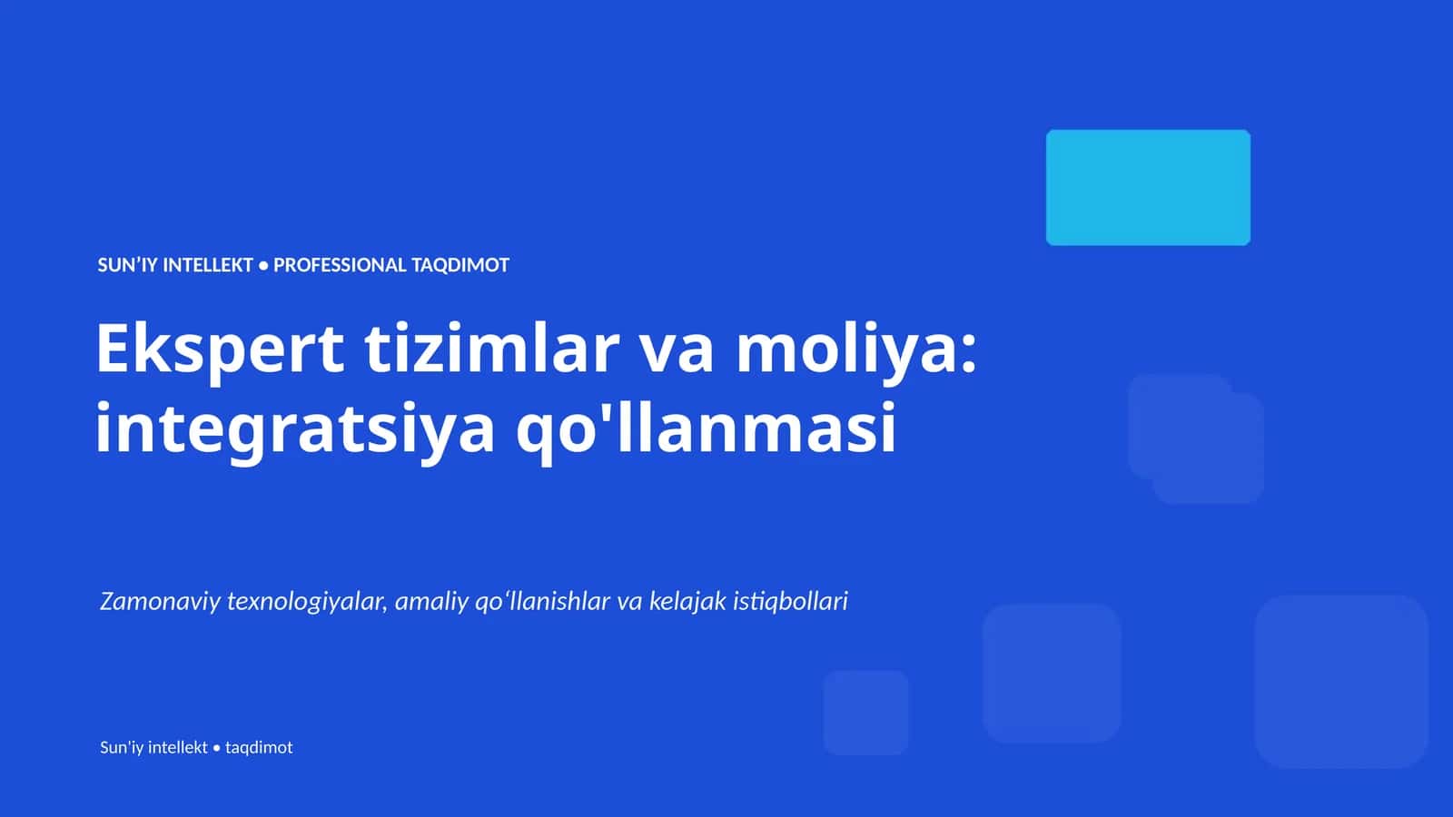 Ekspert tizimlar va moliya: integratsiya qo'llanmasi 1