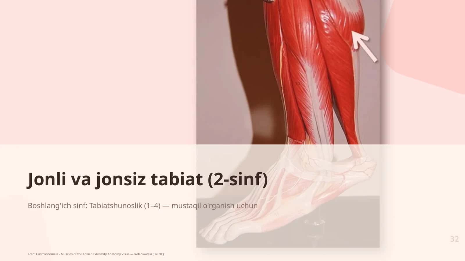 Jonli va jonsiz tabiat (2-sinf) 1