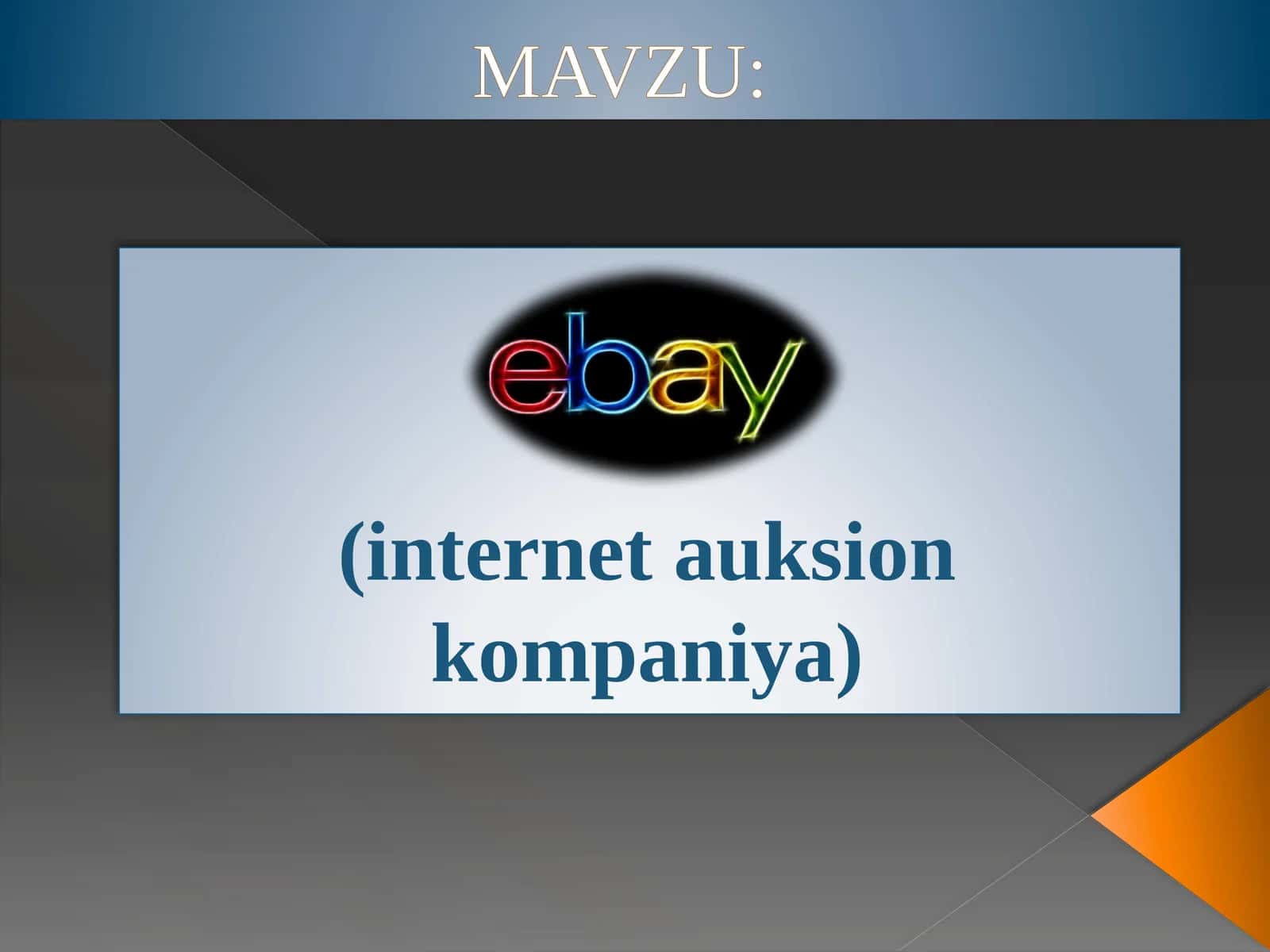 internet auksion kompaniya 1