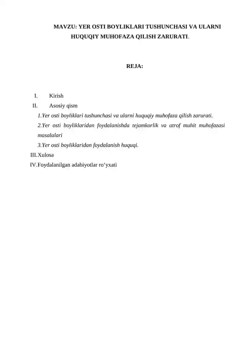 YER OSTI BOYLIKLARI TUSHUNCHASI VA ULARNI HUQUQIY MUHOFAZA QILISH ZARURATI