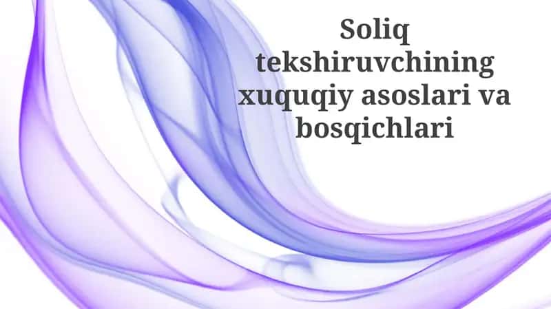 Soliq tekshiruvi 1