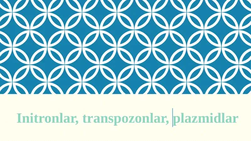 Initronlar, transpozonlar, plazmidlar 1