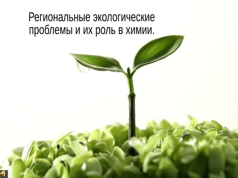 Региональные экологические проблемы и их роль в химии 1