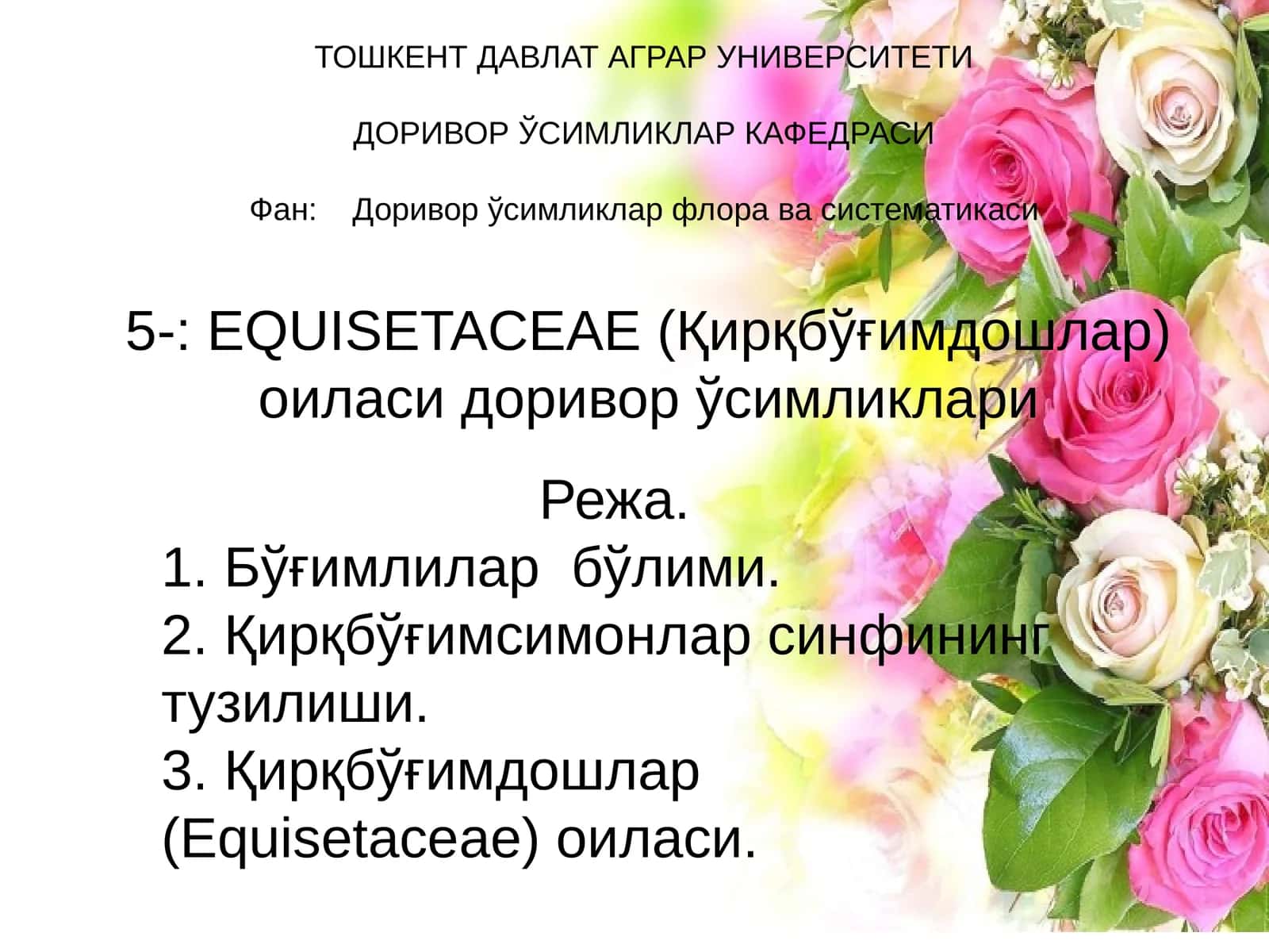 Қирқбўғимдошлар флора ва систематикаси 1