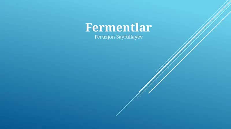 Fermentlar 1