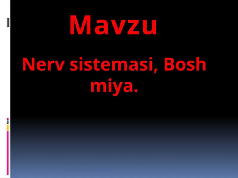 Nervsistemasi, Boshmiya 1