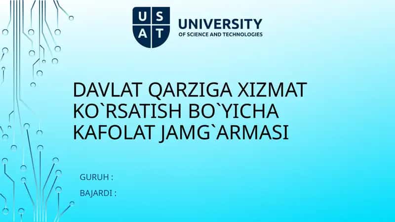Davlatqarzigaxizmatko`rsatishbo`yichakafolatjamg`armasi 1
