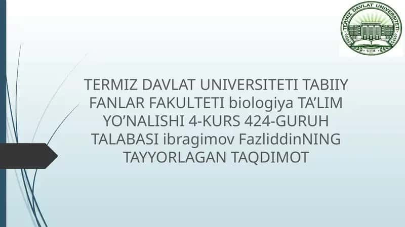 Salplar va appendikulyariyalar sinfi 1