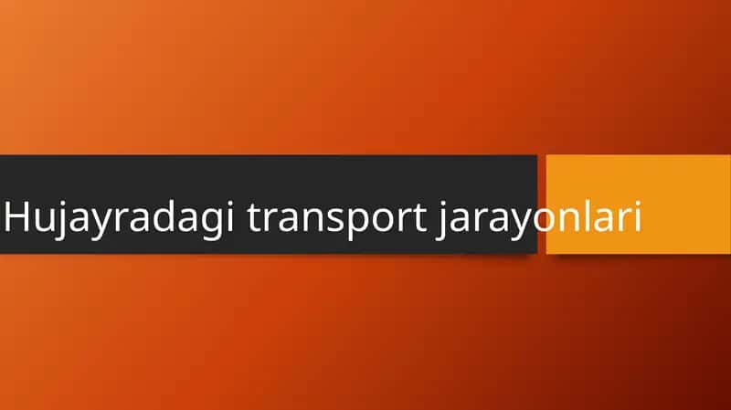 Hujayradagi transport jarayonlari 1