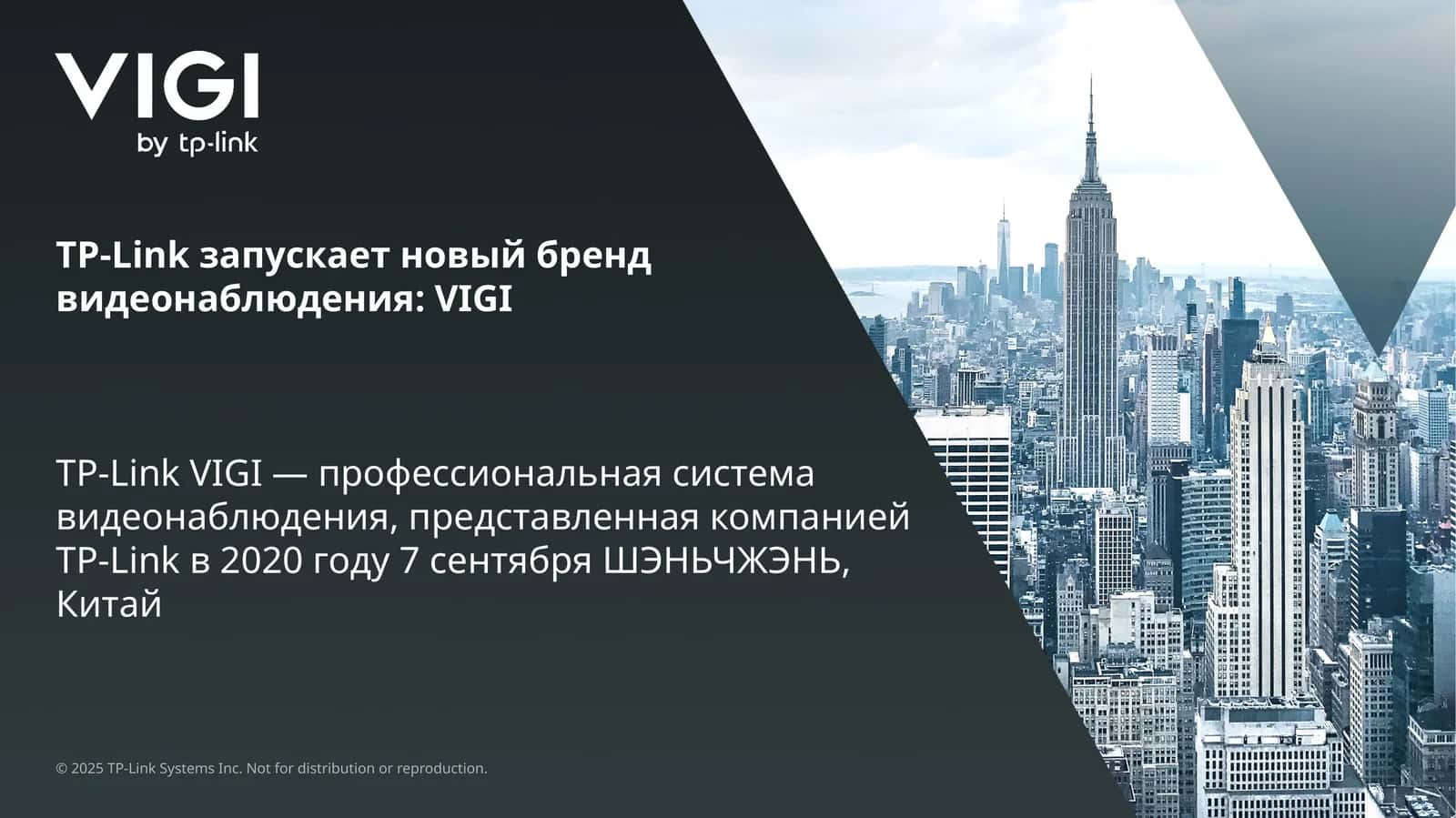 TP-Link VIGI 1