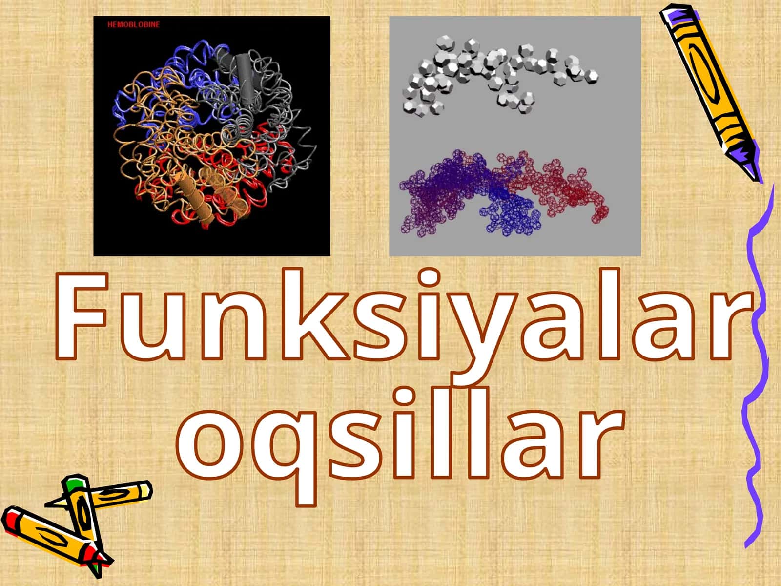 Funksiyalar oqsillar 1