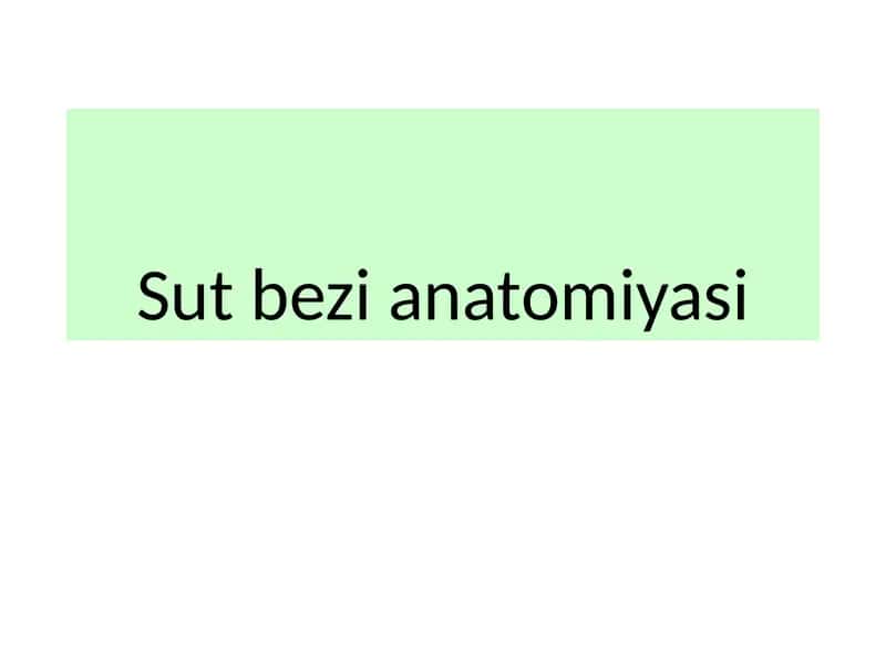 Sutbezianatomiyasi 1