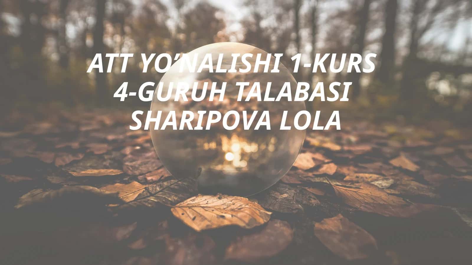 TALABASISHARIPOVA LOLA 1