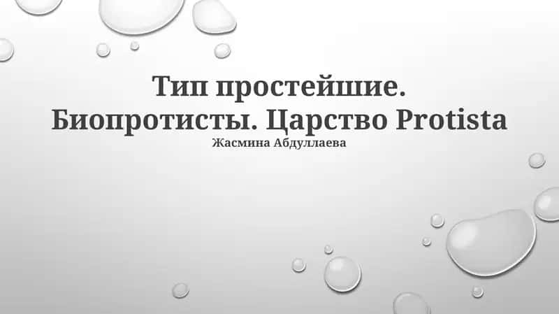Тип простейшие. Биопротисты. Царство Protista 1