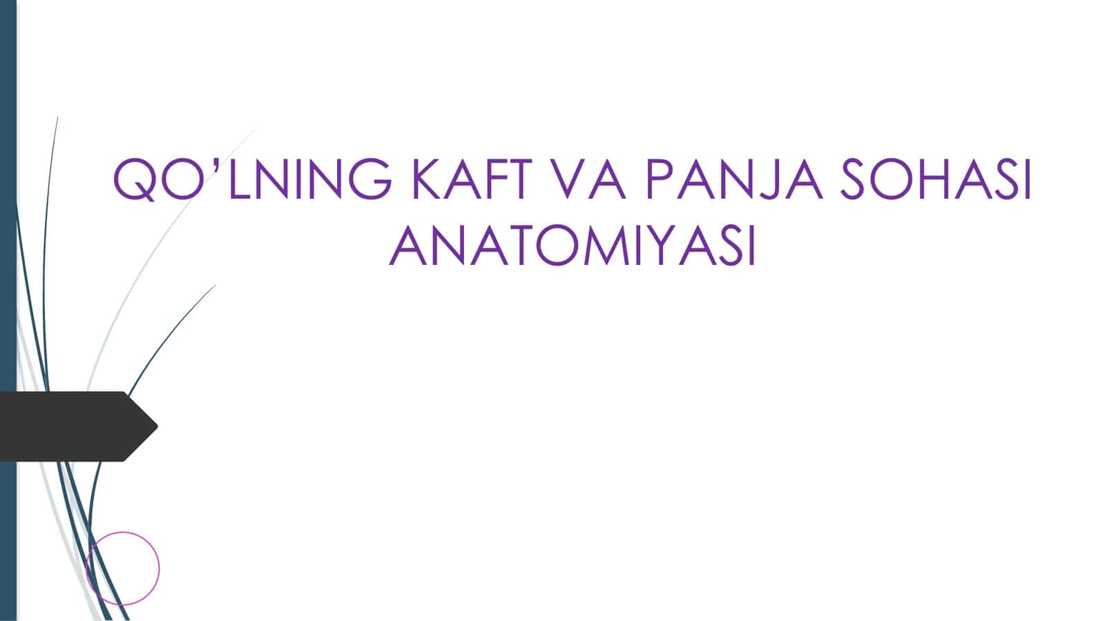 QO’LNING KAFT VA PANJA SOHASI ANATOMIYASI 1