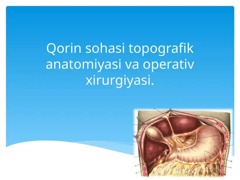 Qorin sohasi topografik anatomiyasi va operativ xirurgiyasi 1