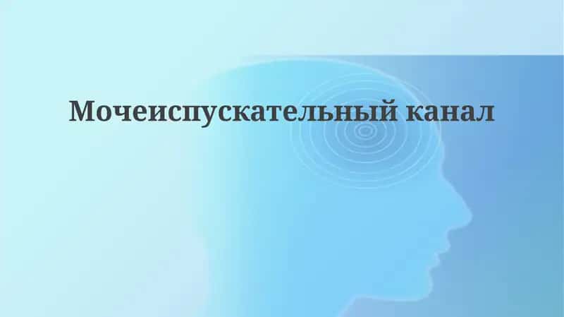 Мочеиспускательныйканал 1