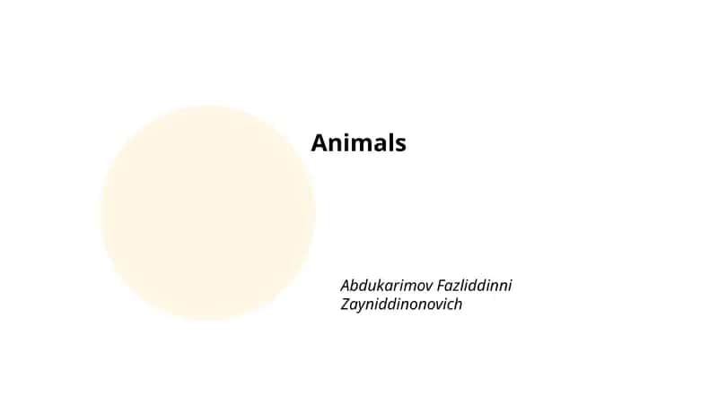 Animal Habitats 1
