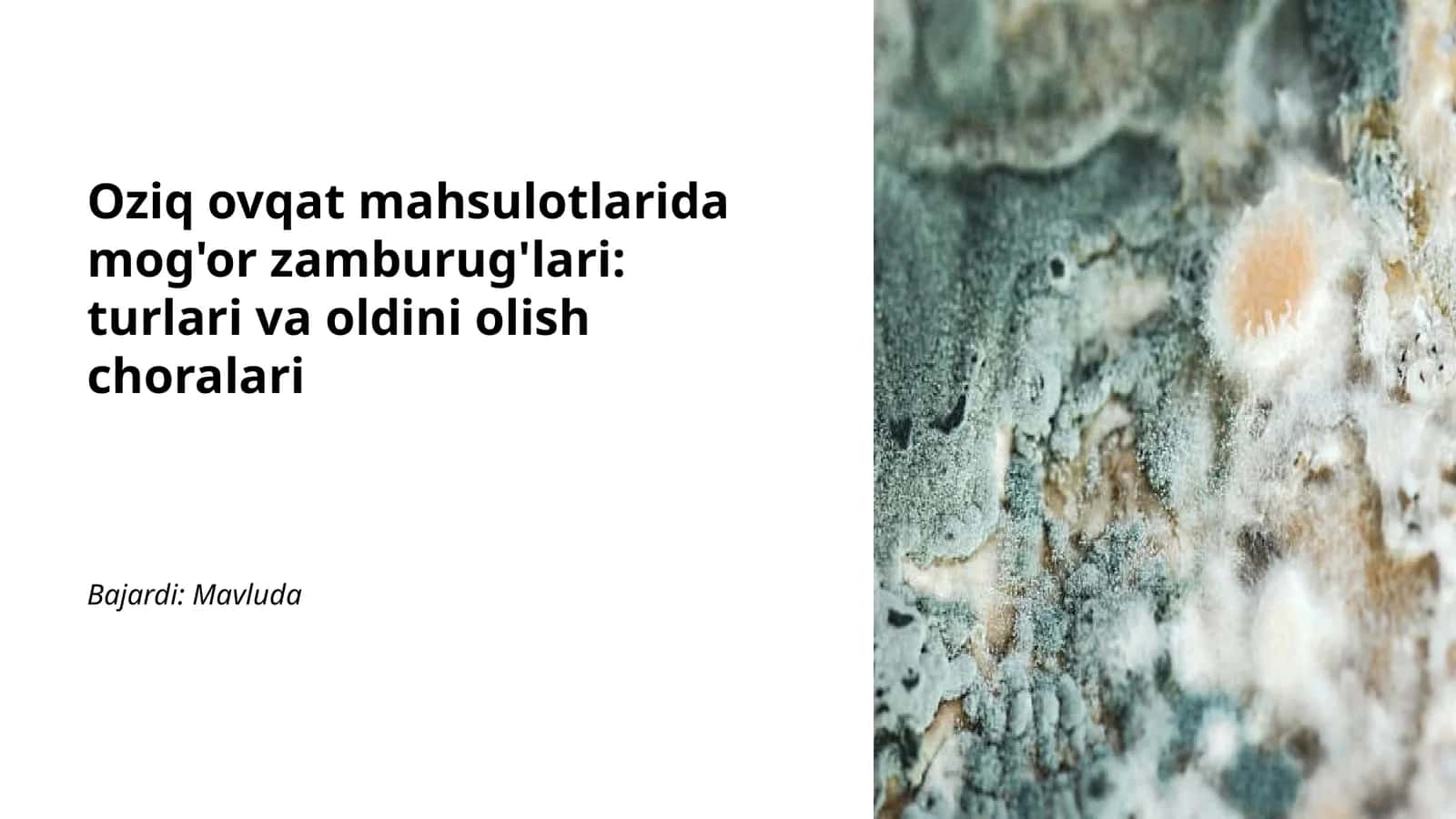 Mog'or zamburug'lari: turlari va oldini olish choralari 1