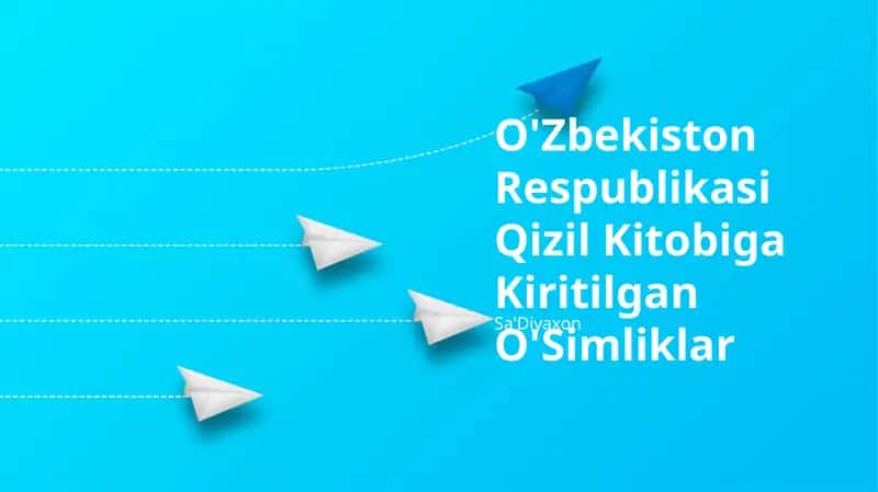 O'simliklar 1