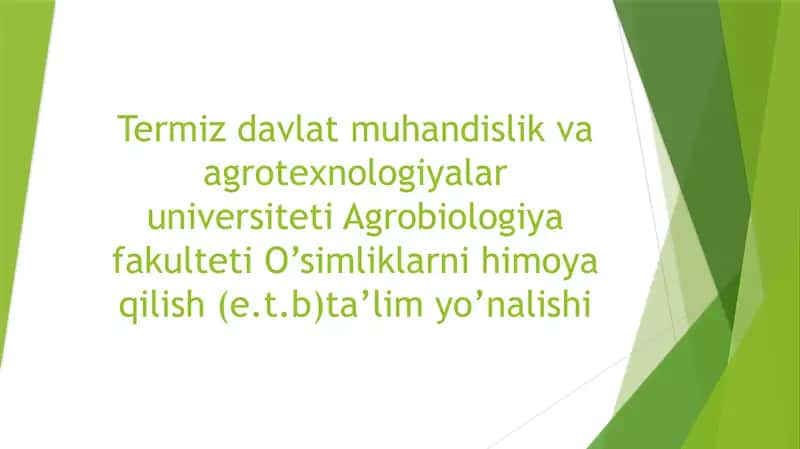 Uzumning antraknoz kasalligi. 1