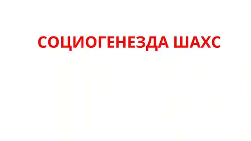 Социогенезда шахс