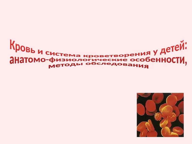 Кровь и система кроветворения у детей 1
