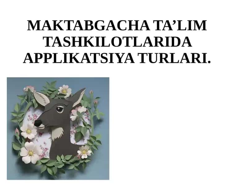 MAKTABGACHA TA’LIM TASHKILOTLARIDA APPLIKATSIYA TURLARI 1