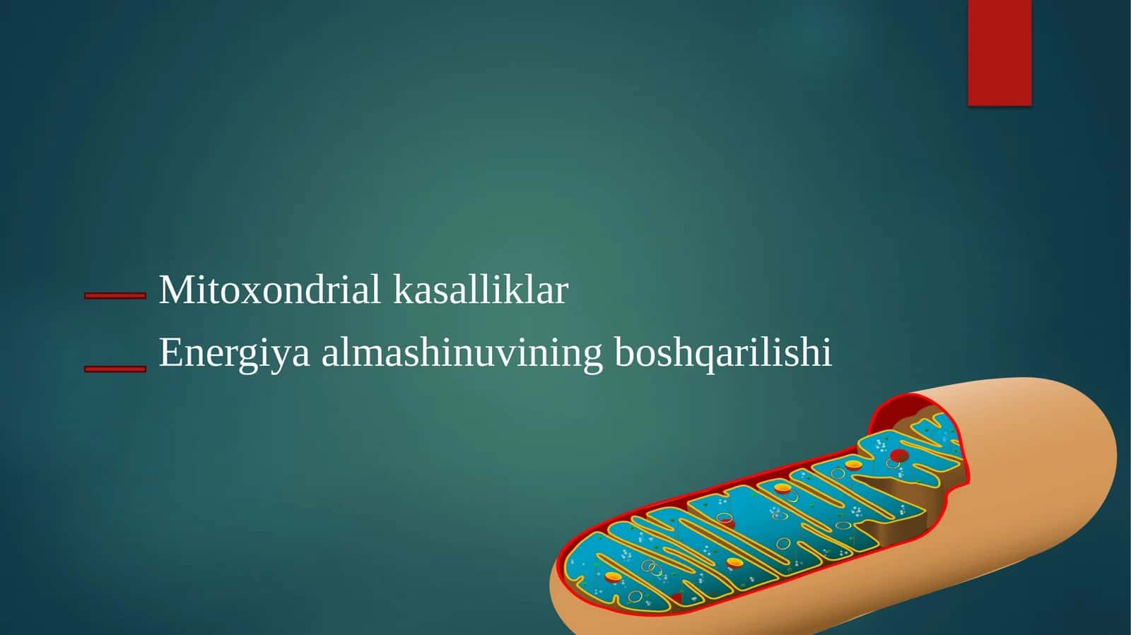 Mitoxondriyalkasalliklar 1