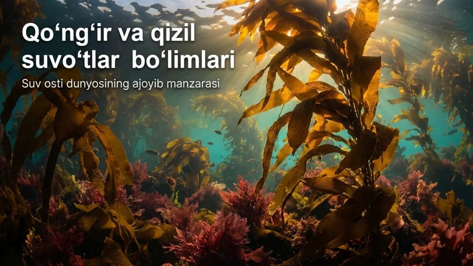 Qo'ng'ir va qizil suvo'tlar 1